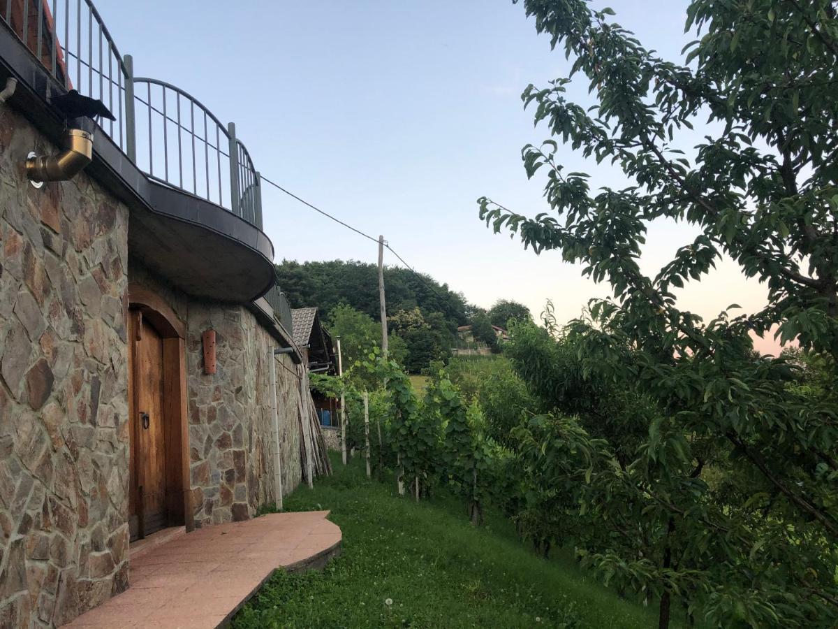 Vineyard Cottage Janko & Metka Otočec Exteriér fotografie