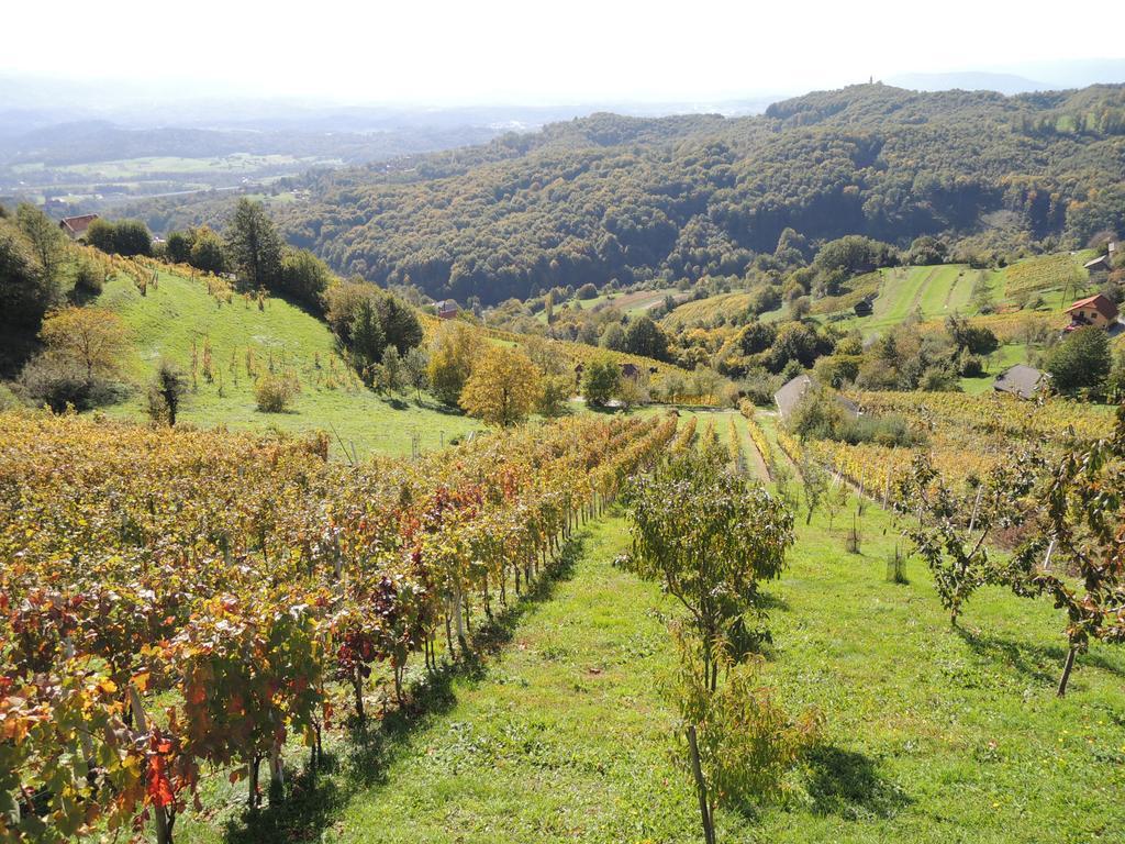 Vineyard Cottage Janko & Metka Otočec Exteriér fotografie